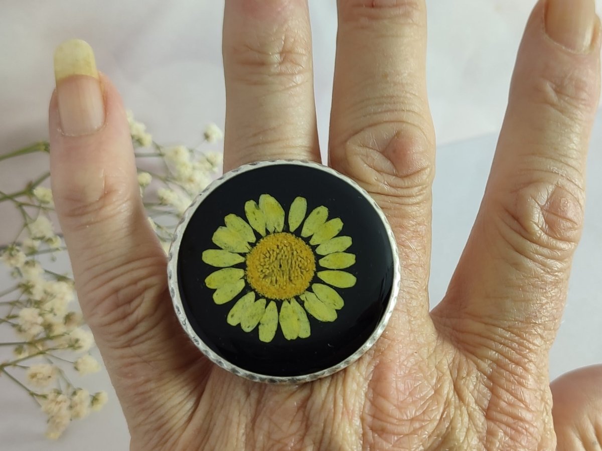African Daisy - Corky & Stoner